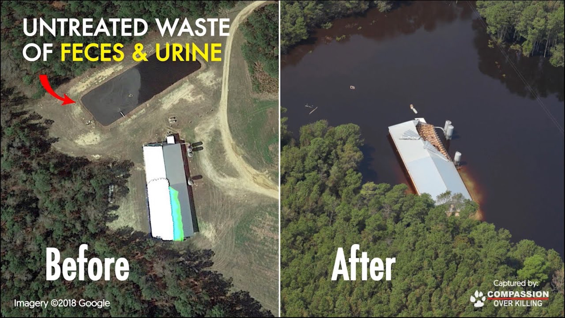 Aerial footage from the Hurricane Florence investigation